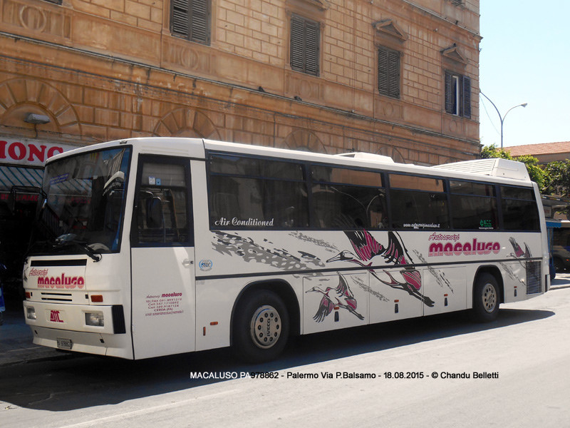 bus_bianco